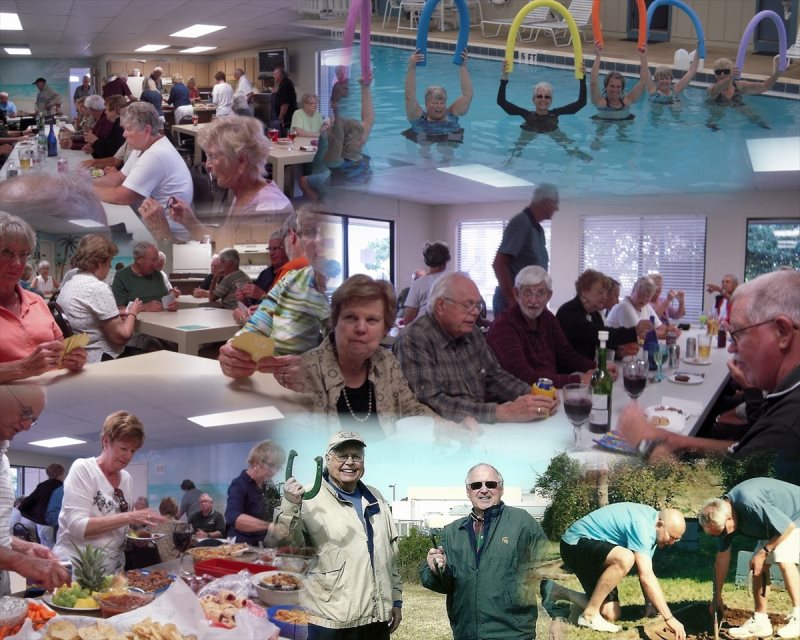 Collage2.jpg